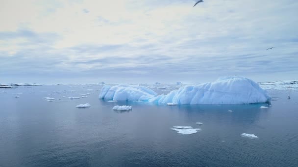 Айсберг плавает в чистом океане с воздуха — стоковое видео