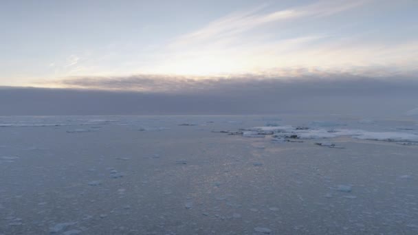 Vista superior aérea del glaciar polar ártico — Vídeo de stock