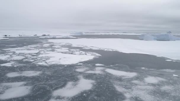Luchtfoto van de Antarctische onbezonnen ijs kust landschap — Stockvideo
