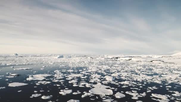 Antarctica Surf open water zeegezicht luchtfoto — Stockvideo