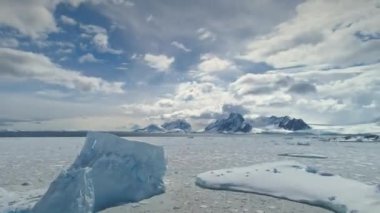 Antarktika kar drift vahşi doğa hava görünümü