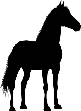 Ayakta duran at siyah silüeti çizim