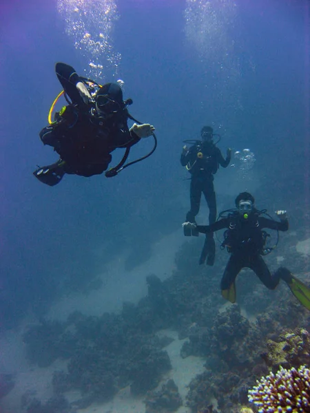 Foto Mergulhadores Debaixo Água Eilat Mar Vermelho Israel — Fotografia de Stock