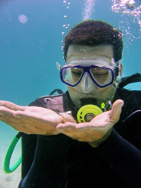 Mergulhador Debaixo Água Com Echinus Eilat Mar Vermelho Israel — Fotografia de Stock