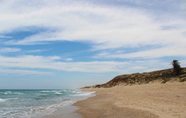 İsrail, Akdeniz, yaz aylarında deniz kıyısı fotoğrafı