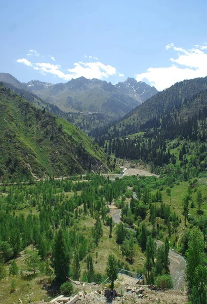 Cañón Montaña Verano Cerca Estación Esquí Chimbulak Almaty Kazajstán — Foto de Stock