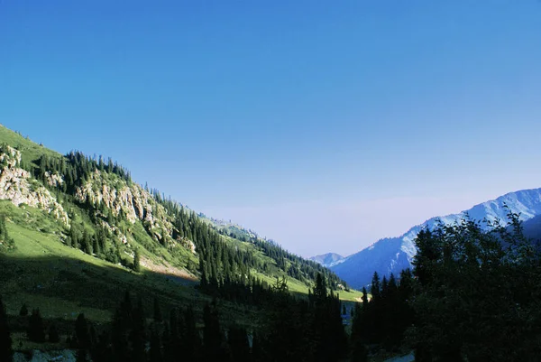 Cañón Montaña Verano Cerca Estación Esquí Chimbulak Almaty Kazajstán — Foto de Stock