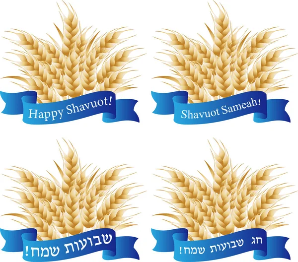 Vacanza ebrea di Shavuot, spighe di grano, saluto — Vettoriale Stock
