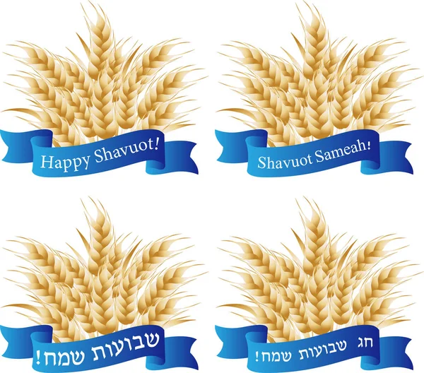 Shavuot Yahudi tatil, buğday kulakları, tebrik