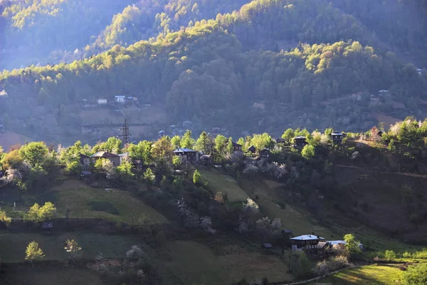 Gürcistan Dağları 'nda köy, Adjara, bahar — Stok fotoğraf