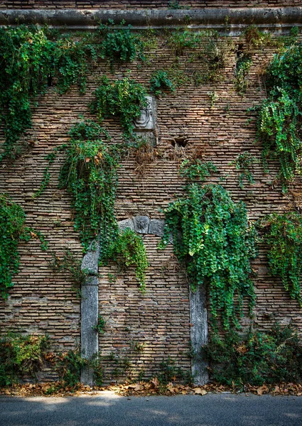 A brick encased door in old wall with plants — Stock Photo, Image