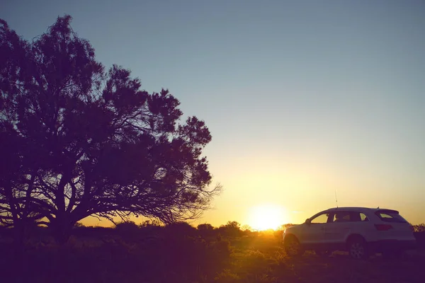 Samochód Porusza Letni Wieczór Sunsett — Zdjęcie stockowe