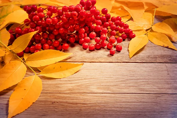 sarı renkli sonbahar yaprakları ve ahşap arka plan boşaltmak üzerinde kırmızı meyveler