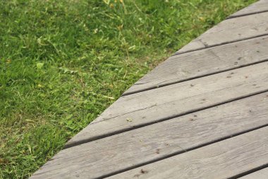 Parktaki ahşap geçitin dış mekan görüntüsü, Moskova, Rusya.