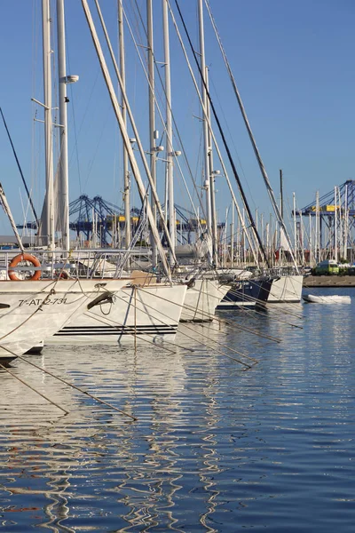 Valencia España Junio 2018 Hermosa Vista Del Puerto Deportivo Atardecer —  Fotos de Stock