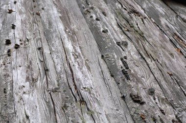 Eski ahşap çatı açık görüntü. Seçili odak.