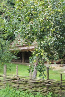 Polonya, Sanok - 05 Ağustos 2018: Sanok, Polonya'daki etnografya müzesinde otantik eski ahşap binalar. Sanok'taki Skansen açık hava müzesi Polonya'nın en büyüğü..