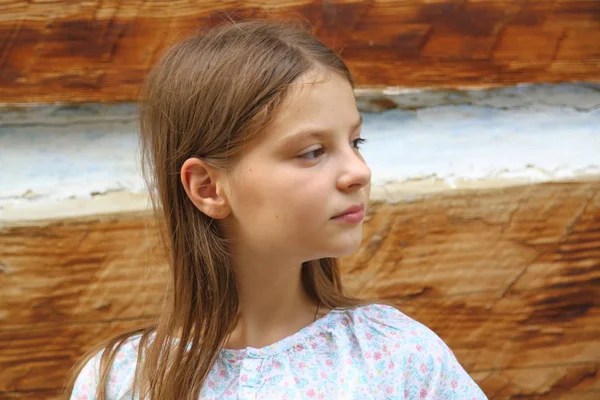 美丽的少女站在波兰的安西恩乡间别墅的旧木墙 — 图库照片