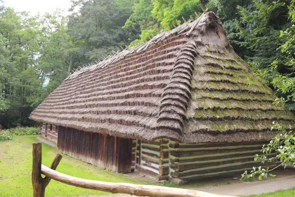 Polónia Sanok Agosto 2018 Edifícios Madeira Antigos Autênticos Museu Etnográfico — Fotografia de Stock