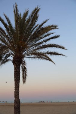 Gün batımı ısmarlayarak Valencia denizde