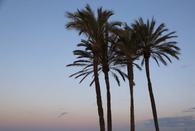 Gün batımı ısmarlayarak Valencia denizde