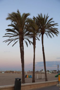 Gün batımı ısmarlayarak Valencia denizde