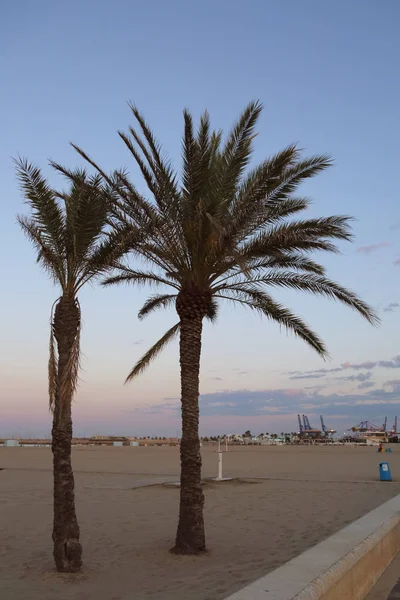 Gün Batımı Ismarlayarak Valencia Denizde — Stok fotoğraf