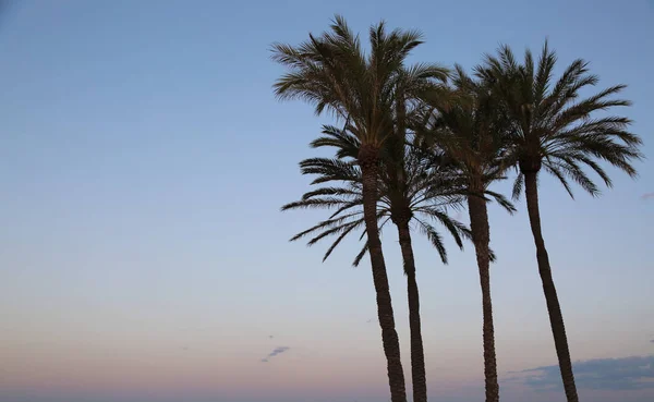 Malebný Výhled Západ Slunce Moři Valencii — Stock fotografie