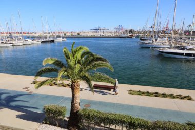 Valencia, İspanya - 20 Haziran 2018: Güzel manzara yatlar ve liman yaz sezonu, Valencia, İspanya