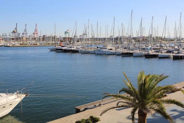 Valencia Spain June 2018 Beautiful View Yachts Sea Port Summer — Stock Photo, Image