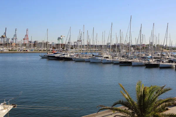 Valencia Spanje Juni 2018 Prachtig Uitzicht Jachten Zeehaven Het Zomerseizoen — Stockfoto