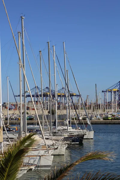 Valencia Spanje Juni 2018 Prachtig Uitzicht Jachten Zeehaven Het Zomerseizoen — Stockfoto