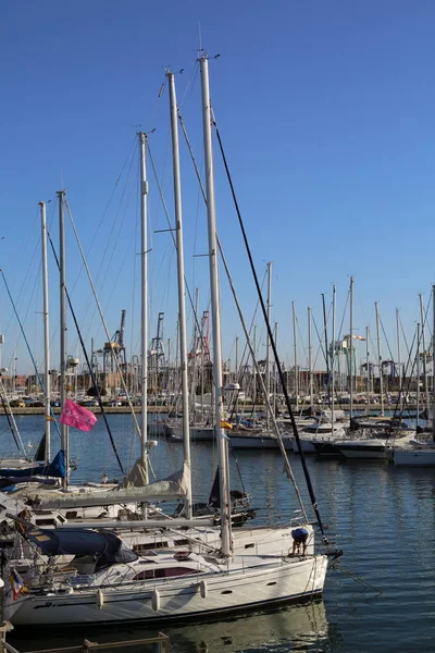 Valencia España Junio 2018 Hermosa Vista Yates Puerto Marítimo Temporada —  Fotos de Stock