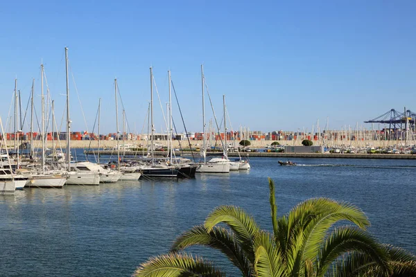 Valencia Španělsko Června 2018 Krásný Výhled Jachty Námořní Přístav Letní — Stock fotografie