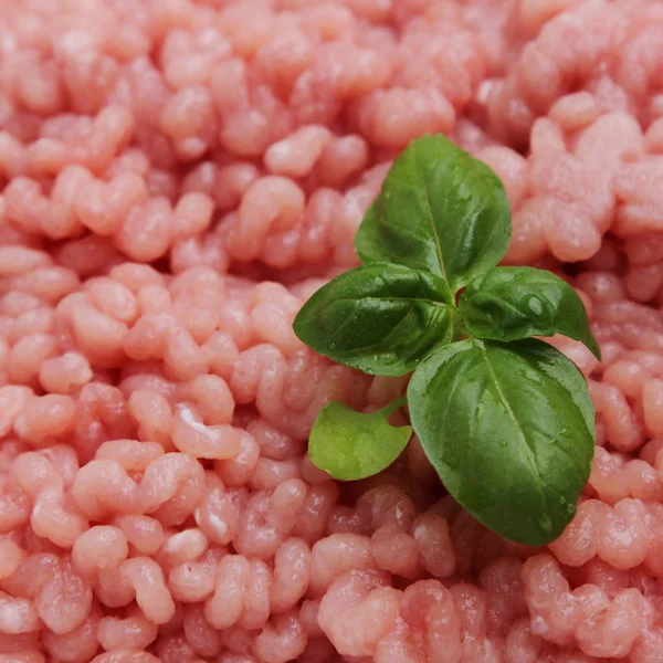 Putenhackfleisch Aus Nächster Nähe — Stockfoto