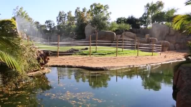Valencie Španělsko Června 2018 Krásný Výhled Biopark Zoo Valencii Španělsko — Stock video