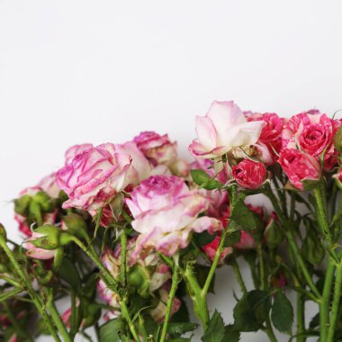  görüntü kurutulmuş gül