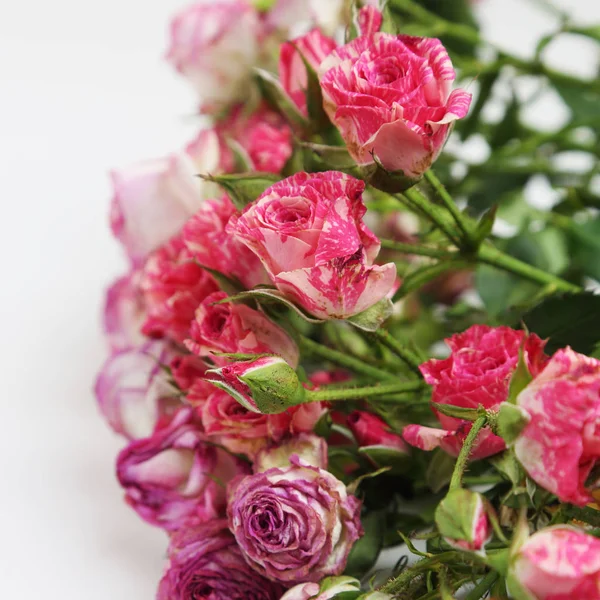 Atelierbild Von Getrockneten Rosen — Stockfoto