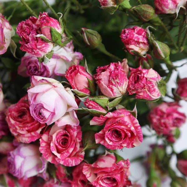 Bild Von Getrockneten Rosen — Stockfoto