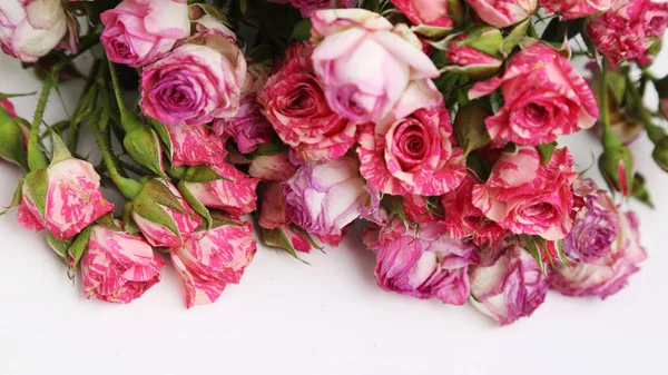 Obrázek Sušených Růží — Stock fotografie