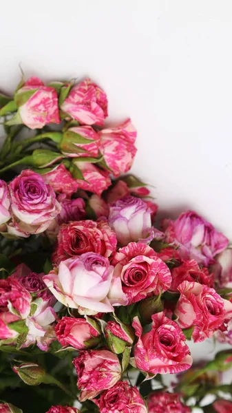 Imagen Rosas Secas —  Fotos de Stock