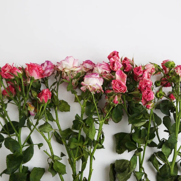 Bild Von Getrockneten Rosen — Stockfoto