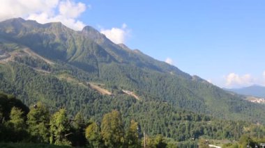 Gündüz vakti dağlardaki yeşil ağaçların havadan görünüşü 