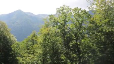 Gündüz vakti dağlardaki yeşil ağaçların havadan görünüşü 