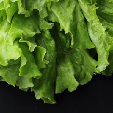 siyah arka plan üzerinde seçilen odak yeşil salata