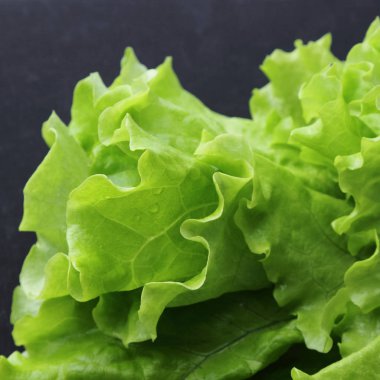 siyah arka plan üzerinde seçilen odak yeşil salata