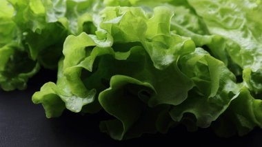 siyah arka plan üzerinde seçilen odak yeşil salata