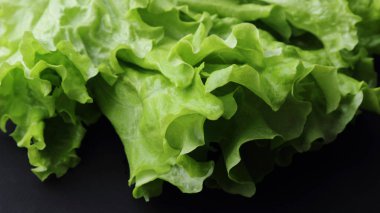 siyah arka plan üzerinde seçilen odak yeşil salata