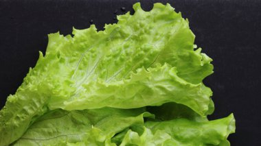 siyah arka plan üzerinde seçilen odak yeşil salata