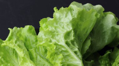 siyah arka plan üzerinde seçilen odak yeşil salata